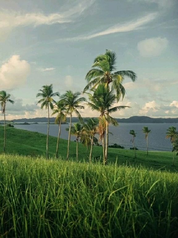 🌞 5 Epic Day Trips from Manila You Need to Try! 🚗💥