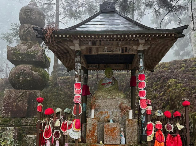 Surrounded by cedar trees over 800 years old