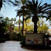 Las Vegas on a Budget That Still Feels Luxe