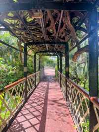A walk around the Botanic Gardens Gibraltar🇬🇮 