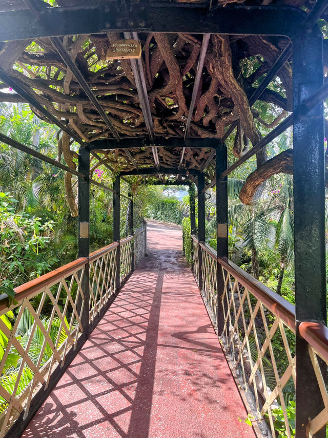 A walk around the Botanic Gardens Gibraltar🇬🇮 