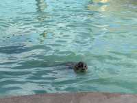 Skegness and Seal Sanctuary