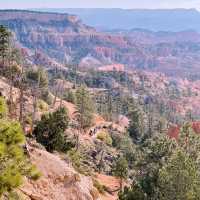 🎰✈️ National Parks from Las Vegas: Your Ultimate Transit & Travel Hub