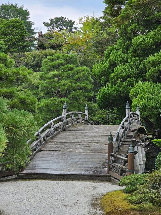 Peaceful Escape at Kyoto Gyoen