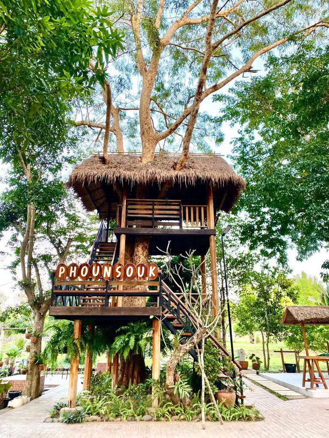 🌿🚂 Phounsouk Garden - สวรรค์ธรรมชาติ 🌿🚂