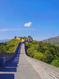 Greenery at the Great Wall