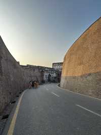 Lahore Fort & Badshahi Mosque