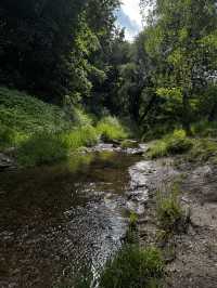 Kolomenskoye: How I Came for a Walk and Left Feeling Magic