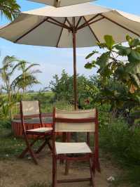 MISS HOI AN CAFE-paradise in the rice fields 