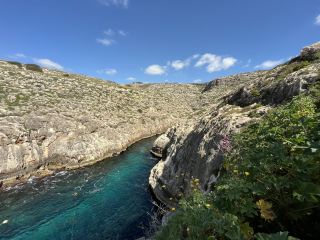 A day in Malta for nature lovers