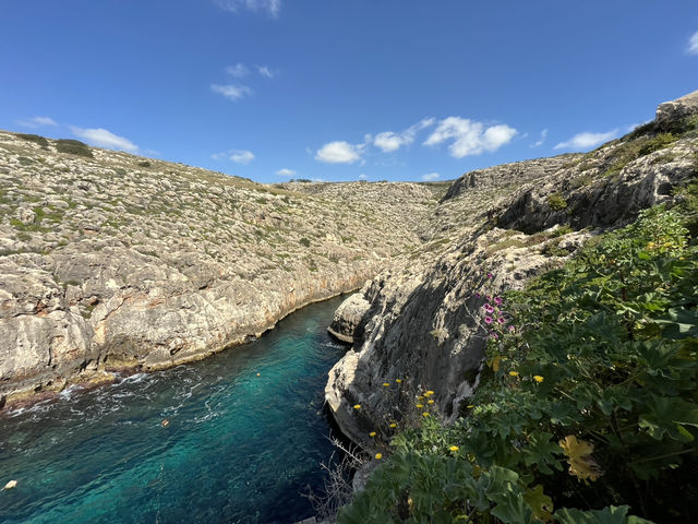 A day in Malta for nature lovers