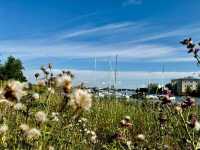 走讀芬蘭堡Suomenlinna～芬蘭海上要塞
