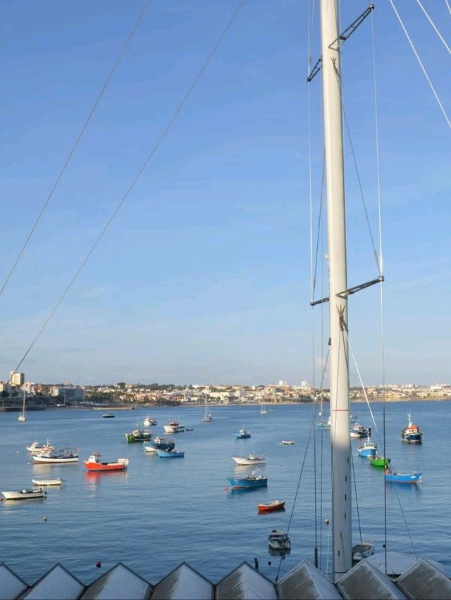 These are the top 10 cities you must visit in Portugal 🏙🌸 These are the top 10 cities you must visit in Portugal 🏙🌸