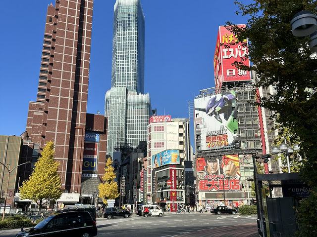 Two iconic cities, endless neon: Tokyo x Kyoto Review