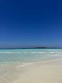Dhiffushi – The Local Island Escape 🌴🌊