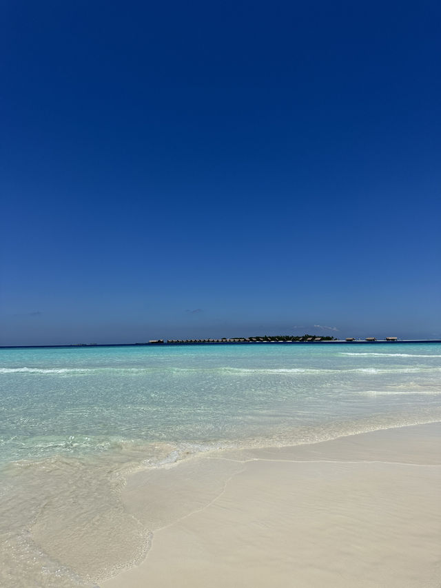 Dhiffushi – The Local Island Escape 🌴🌊