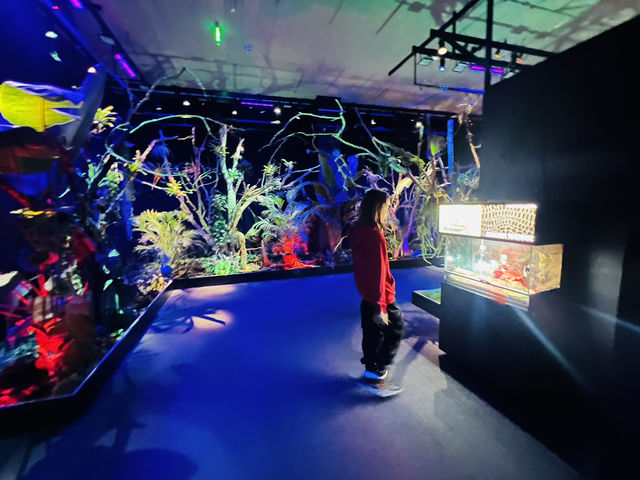 Reptiland Bucharest, Over 40 Species of Reptiles 🦎🐍