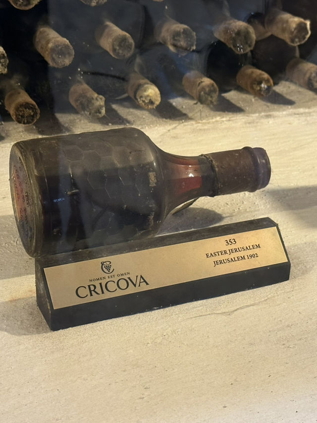 🍾 Cricova: Moldova's Sparkling Presidential Cellar