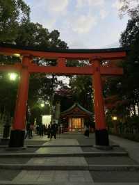 Kyoto, Japan