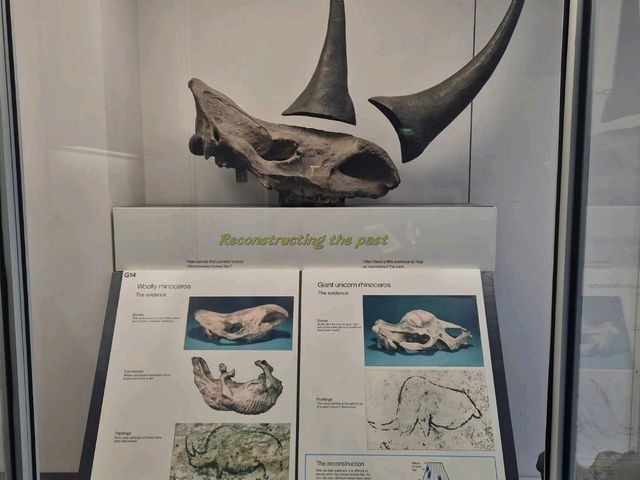 Top Attractions at the Natural History Museum, London 🦕