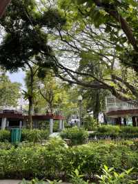 🌿 Malé Parks – Green Escape in the Heart of the Maldives 🌴✨