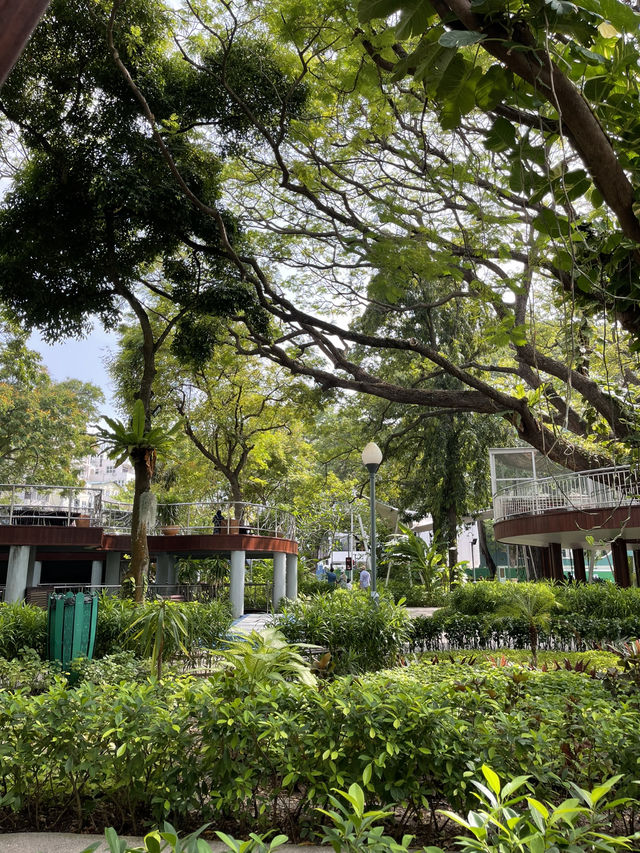 🌿 Malé Parks – Green Escape in the Heart of the Maldives 🌴✨