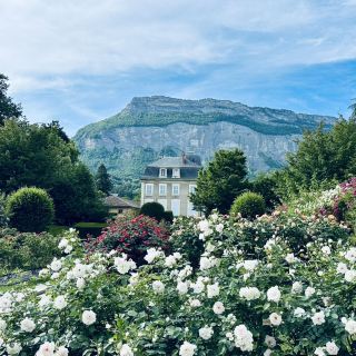 メイランのブルームブリス🌺