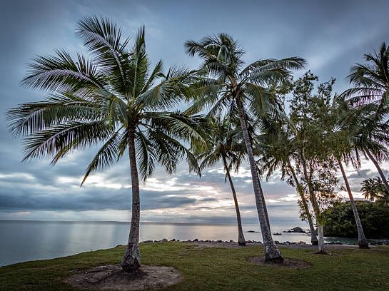 🌉 Sentosa Island Escape