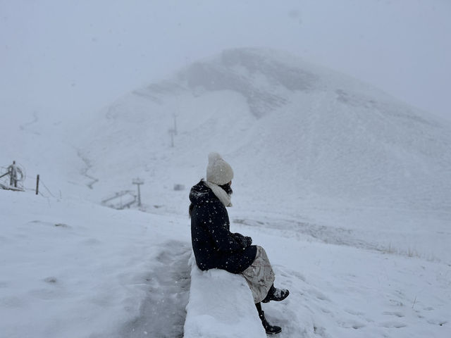 Switzerland! Switzerland!