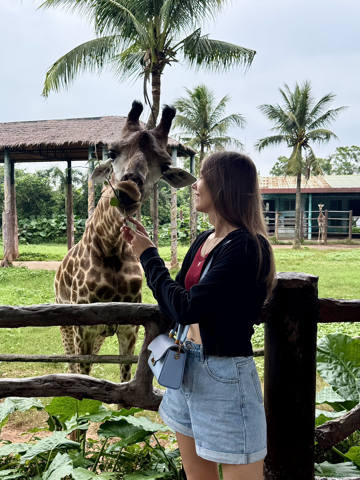 ควรไปเที่ยว Hainan Tropical Wildlife Park ดีไหม？