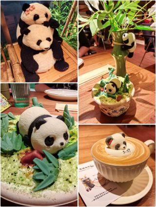 Must-Try Food: Panda Tiramisu in Chengdu 🐼🍰