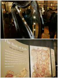 Irish Manor | Trinity College | Guinness Brewery Museum | Kildare Village Shopping Center