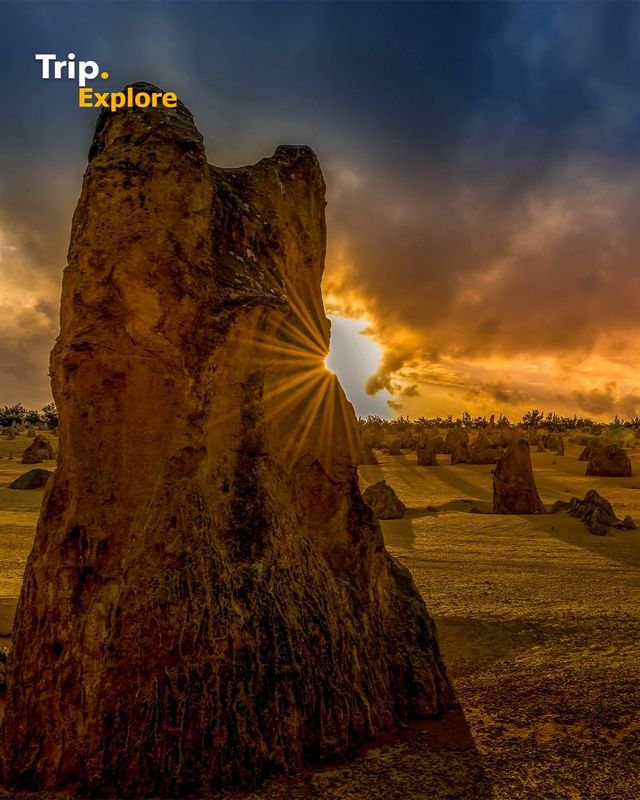 Get to know the Pinnacles Desert in Australia