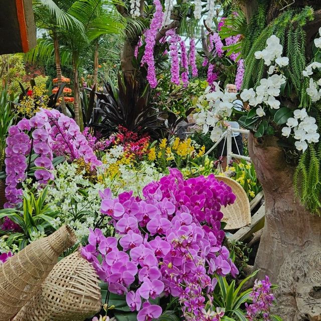 Gardens by the Bay