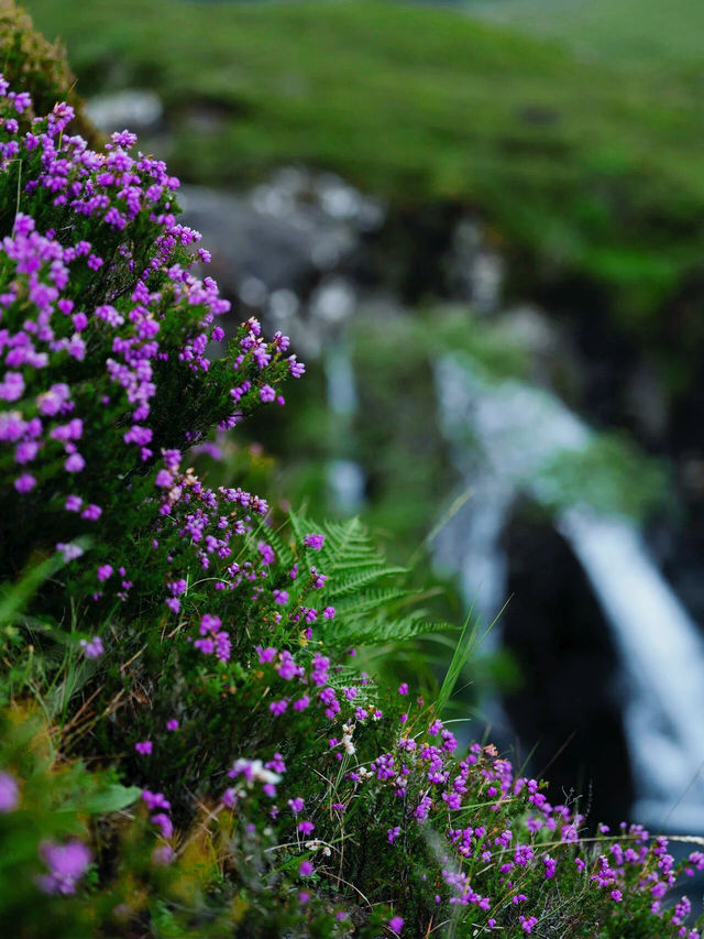 The Enchanting Fairy Pools in Scotland 🧚‍♀️