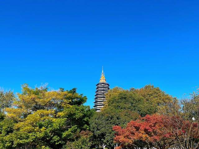 紅梅公園|常樂之州，安逸舒適的好去處