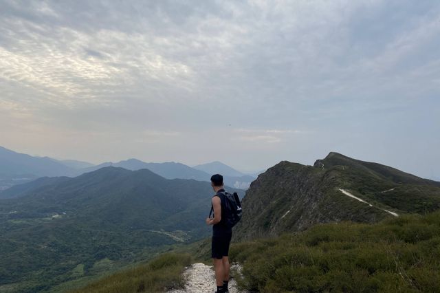 八仙嶺x黃嶺x屏風山．樓梯大挑戰