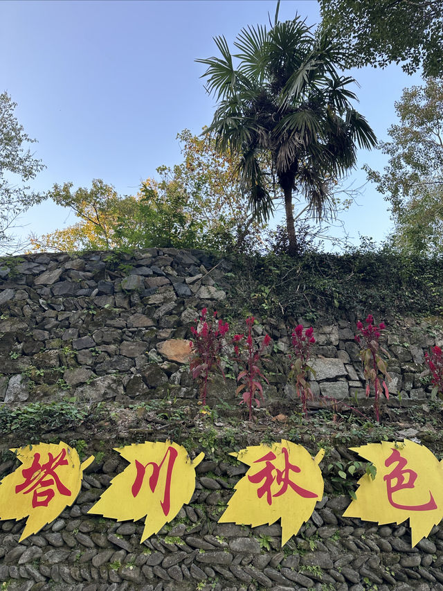三天兩夜塔川宏村遊
