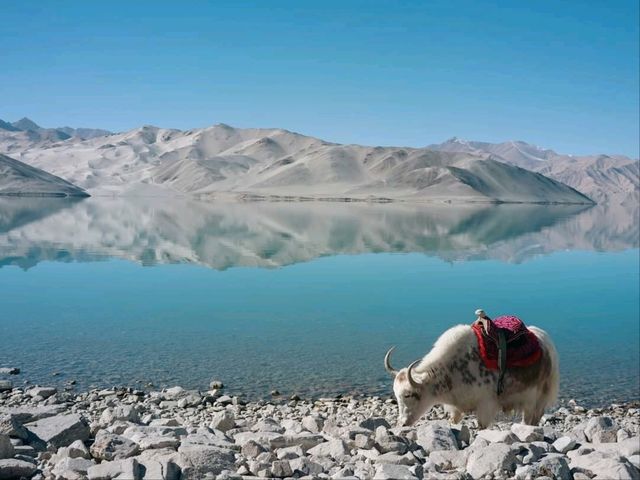 「白沙湖」：新彊旅遊必去景點，註意高山症