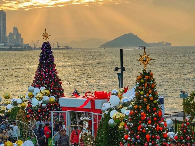 2023年聖誕季，香港兩大聖誕樹一次打卡攻略~