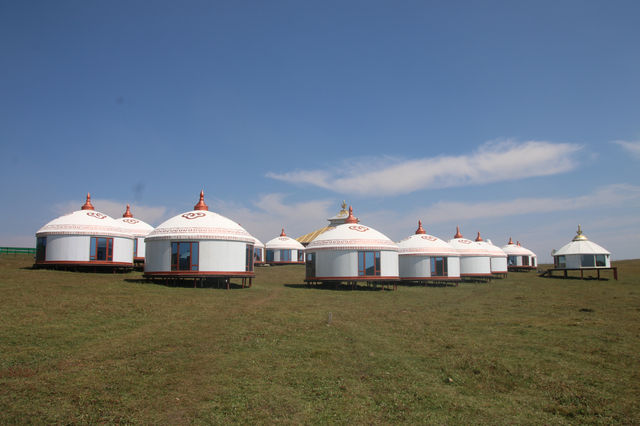 總要去內蒙古看一看風吹草低現牛羊的草原吧