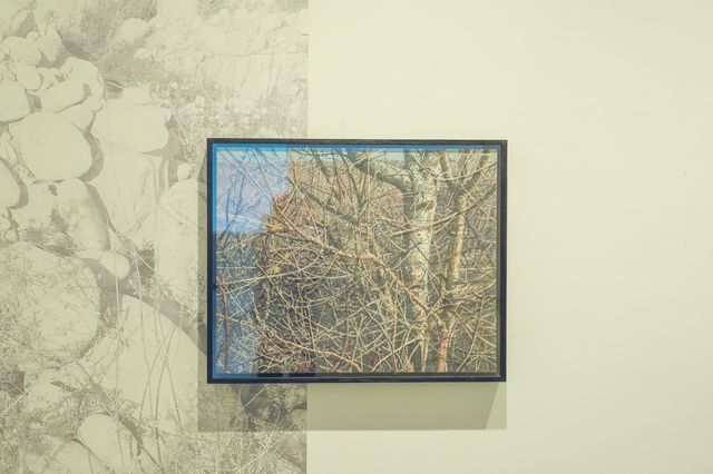 0元看展|提升審美就來川美