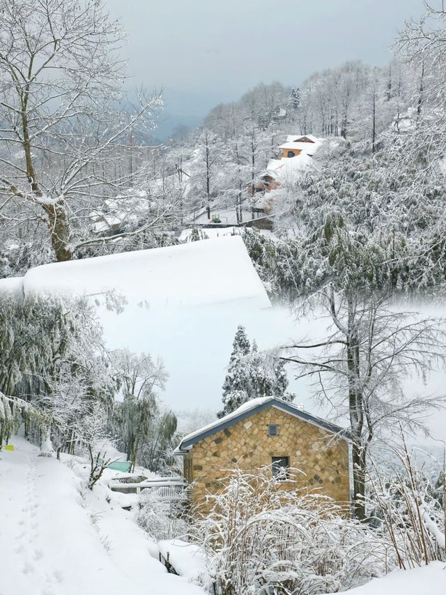 莫干山冬日旅行指南｜get最佳觀景機位