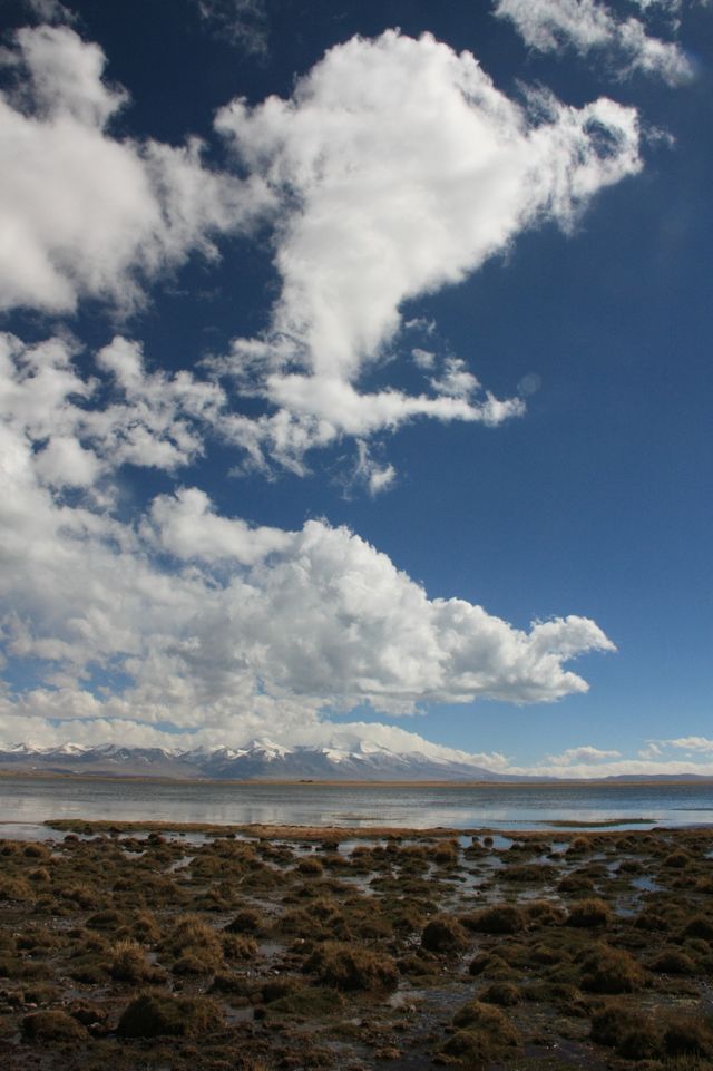 西藏阿里，神山聖湖之旅