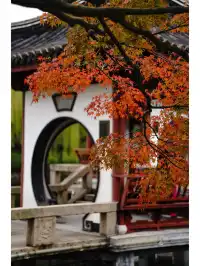 古華園 | 上海你不宣傳這裡你糊塗啊