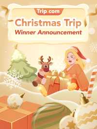 #ChristmasTrip Campaign Winner Announcement