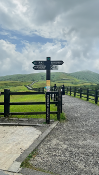 擎天崗，台北最美的綠洲 🌿🏞️