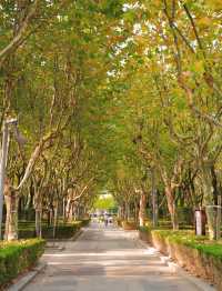 奉賢小眾歐式景點，奉浦四季生態園