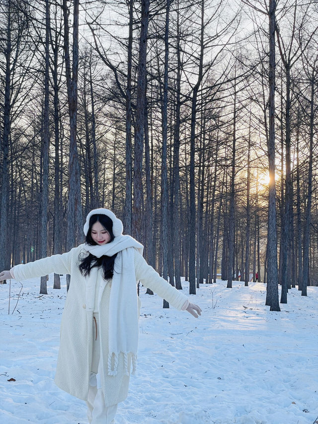 哈爾濱之行｜來自冰雪的奇緣｜北國風情