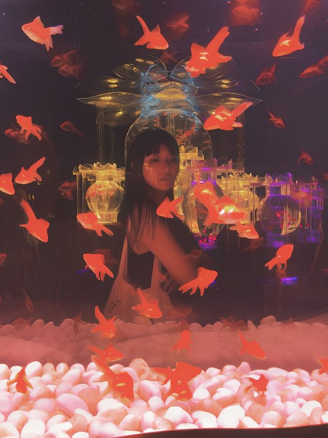 東京不可錯過銀座金魚展！市區最夯出片景點
